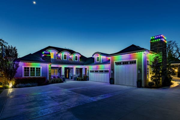 Halloween lights in purple, orange and green